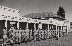  CCF 1953