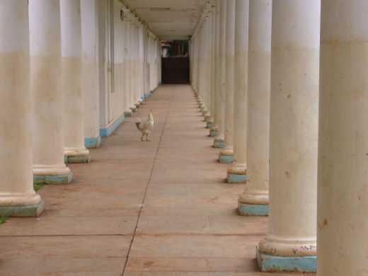 Cloisters in between Marsabit (Scott) and Elgon (Clive) houses - Sept 2005