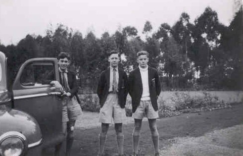 Image of Cohen, Ed. Strong & Shelton - 1948