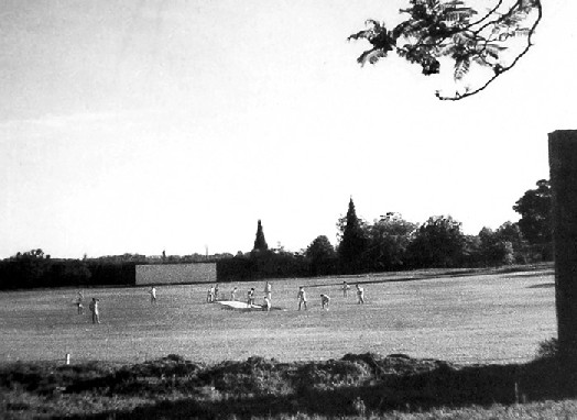 Cricket Match - 1953