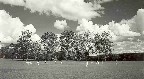  Cricket match - OCS v School 1965
