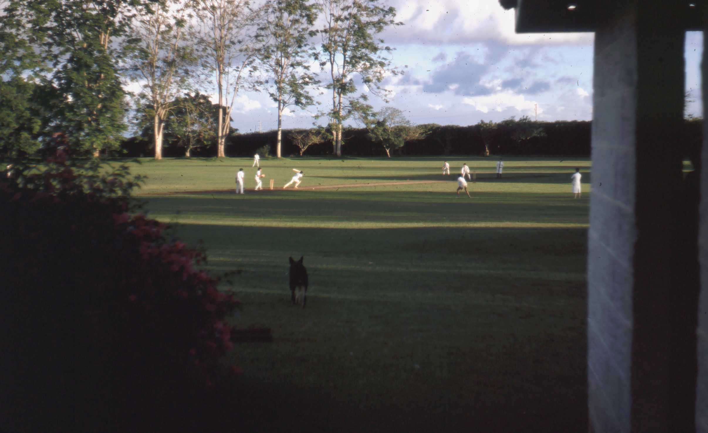 House Cricket match on the Oval - Dec 1969