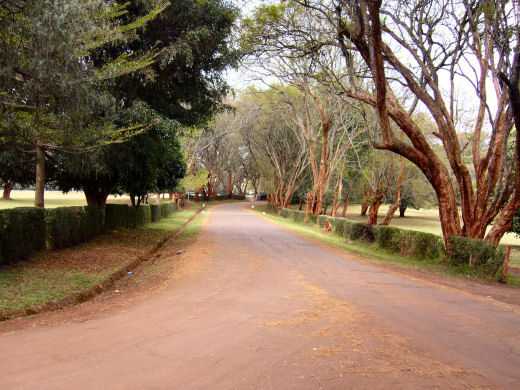 Driveway from rear of Marsabit (Scott) house - Sept 2005