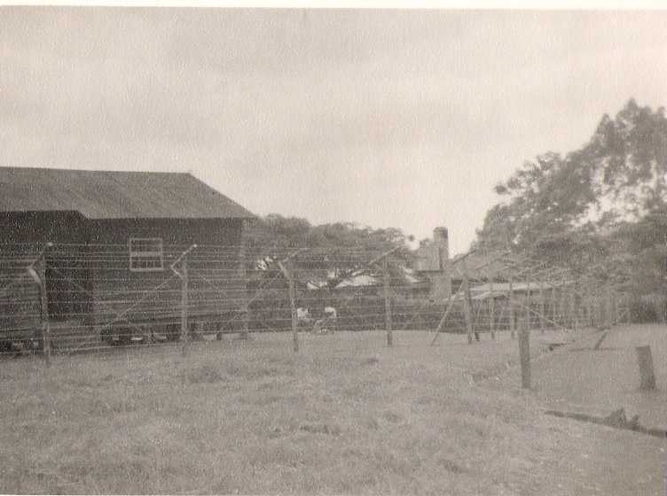 Junior House - 1954