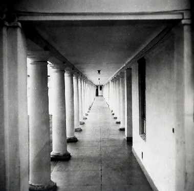 Image of Clive/Scott colonandes 1953