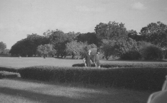 Image of Main Drive from Front of School 1963