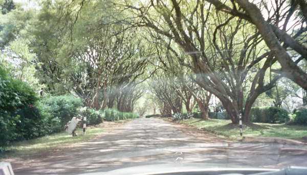 School Main Drive - 2008
