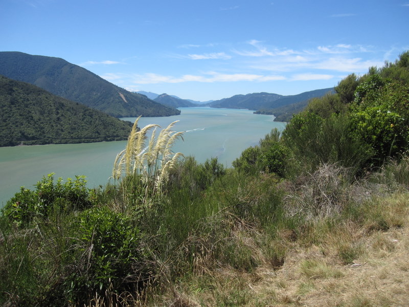 Mini Reunion - Blenheim, New Zealand - 18th Feb 2011