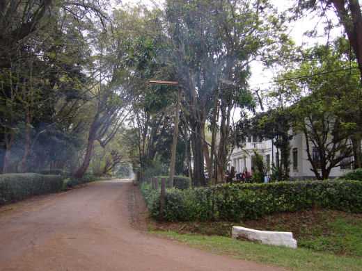 Road behind Marsabit (Scott) and Elgon (Clive) houses - Sept 2005