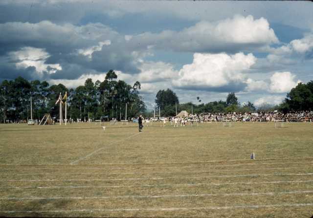Sports Day - 1961
