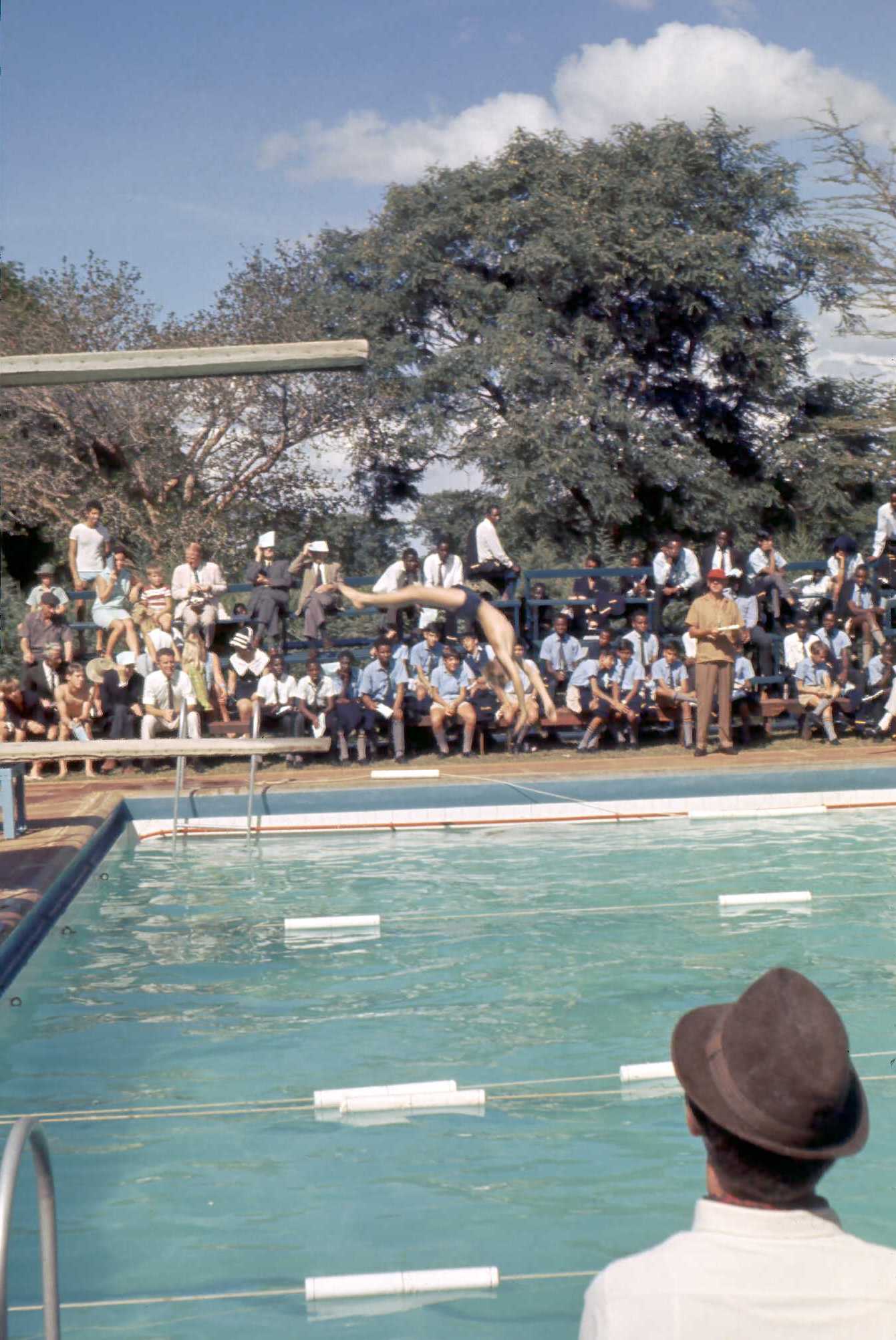 Swimming Gala - 1969 - Ian Macpherson diving