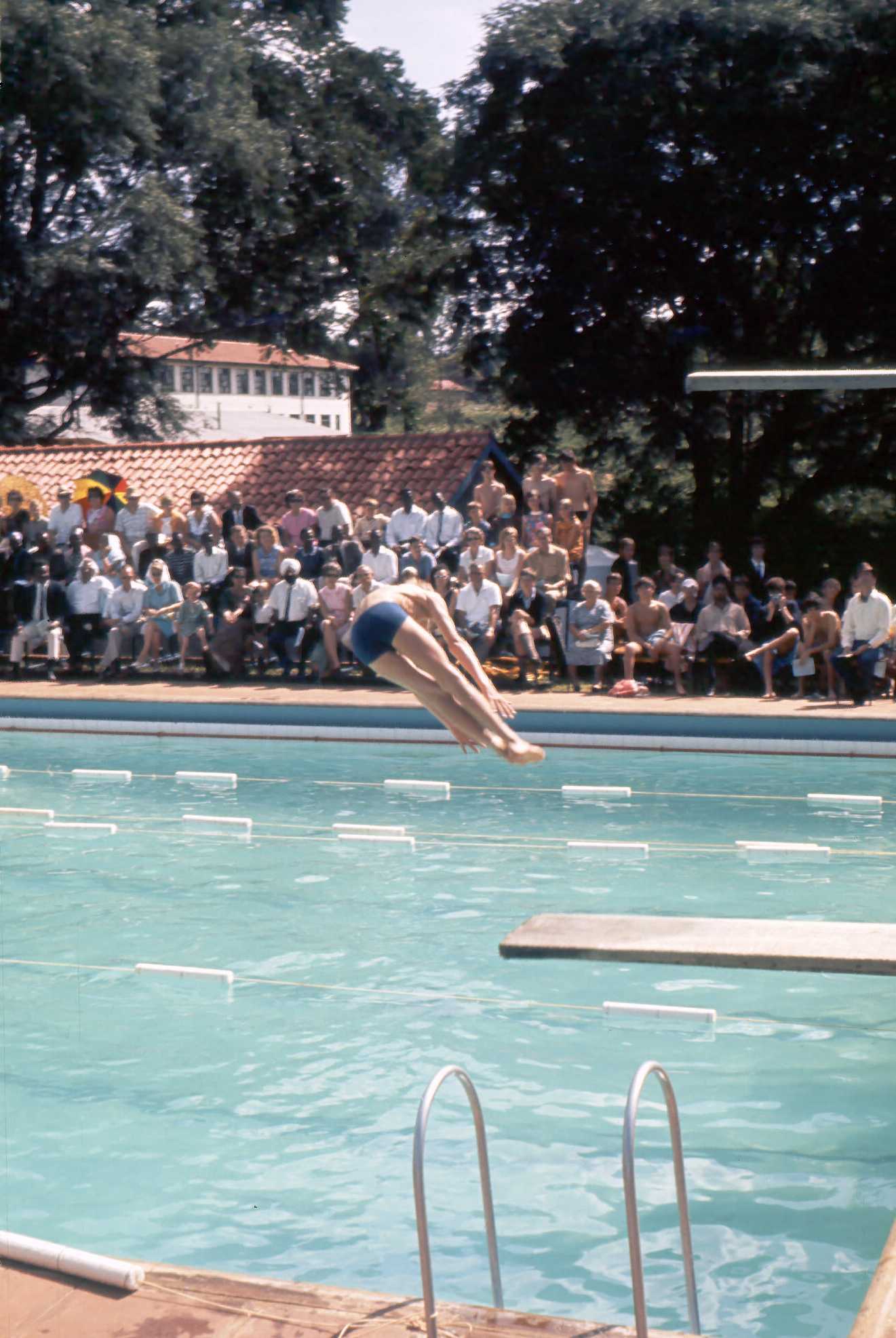 Swimming Gala - 1969 - Ian Macpherson diving